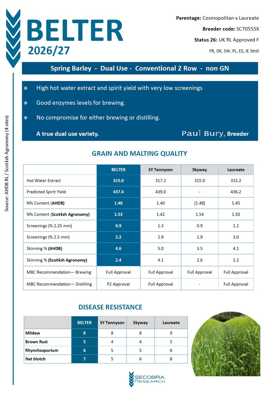 Spring Barley | P1 Dual Purpose | Conventional 2 Row | non GN