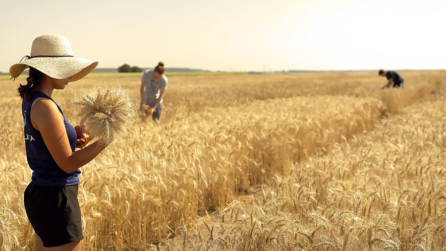 technicians in the field