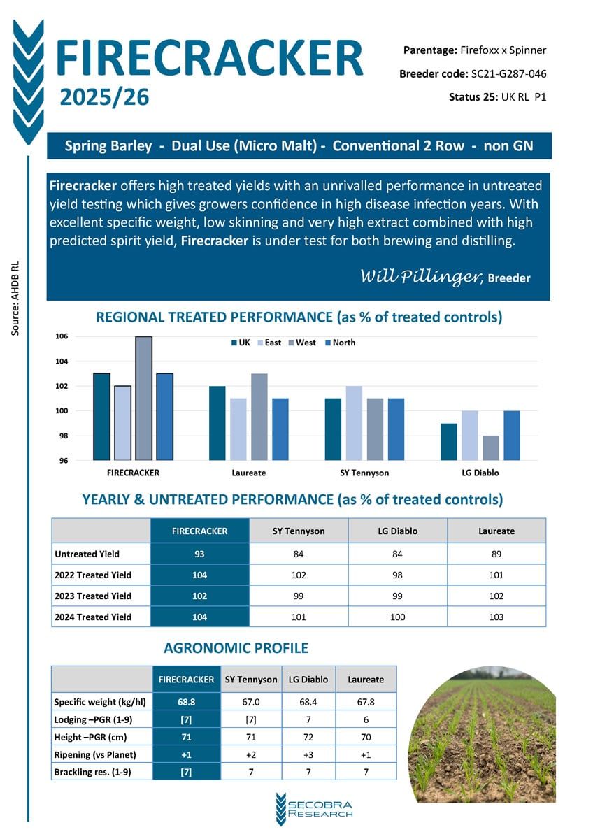 Spring Barley - Dual Use (Micro Malt) - Conventional 2 Row - non GN