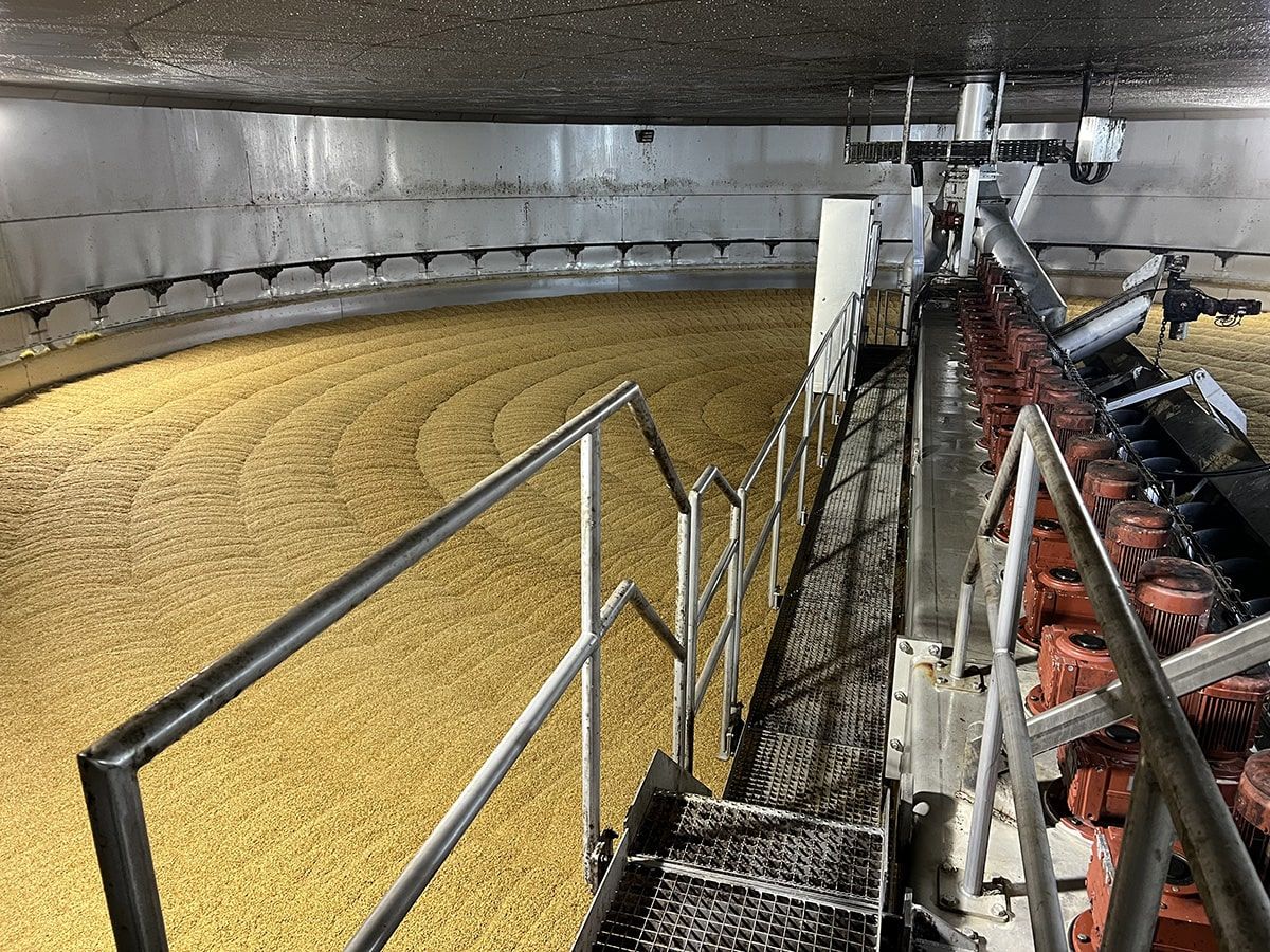 Barley Steeping at Bairds Malt in Scotland