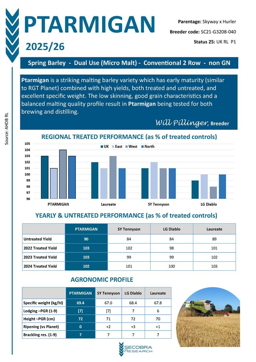 Spring Barley | Micro Malt Dual Purpose | Conventional 2 Row | non GN