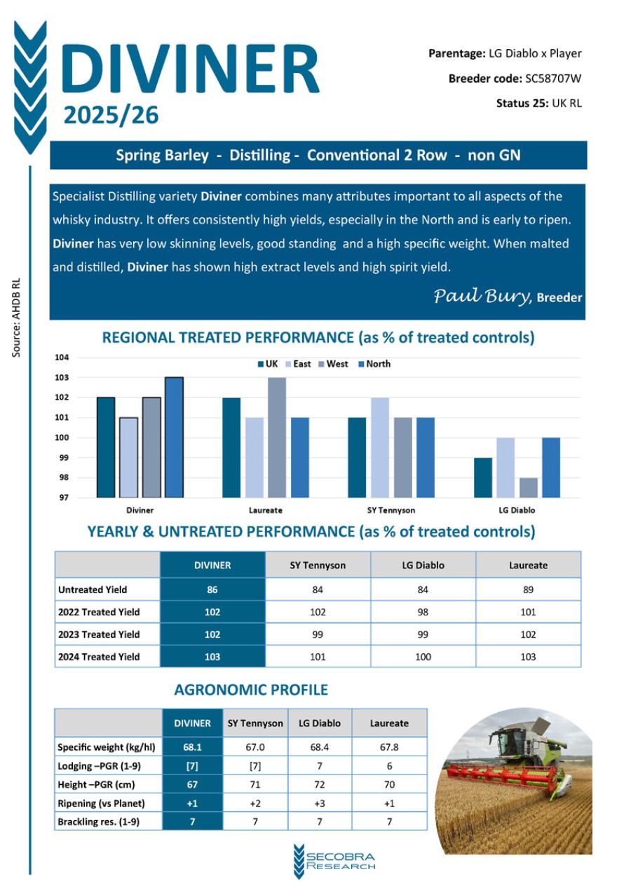 Spring Barley | P2 Distilling | Conventional 2 Row | non GN