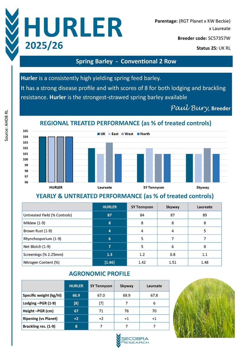 Spring Feed Barley | Conventional 2 Row