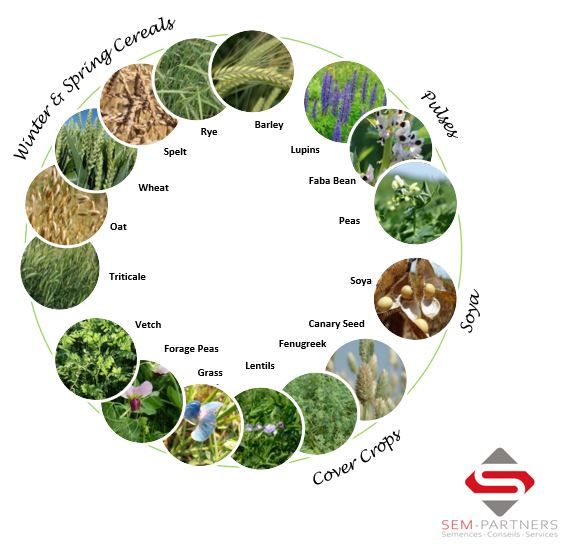 SEM Partners Crops