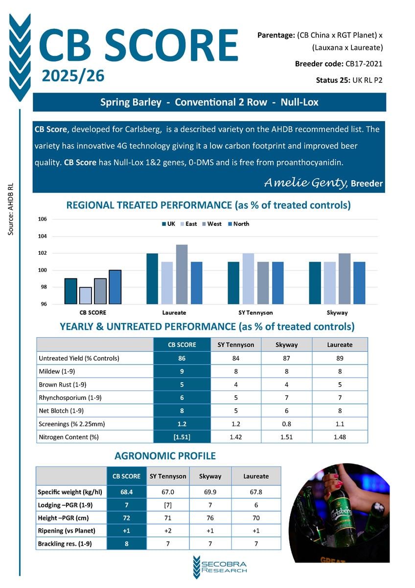 Spring Malting Barley | Conventional 2 Row | Null-Lox