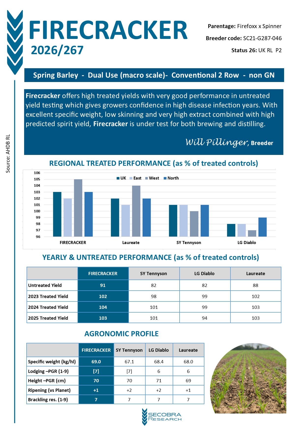 Spring Barley | P1 Approval | Conventional 2 Row | non GN