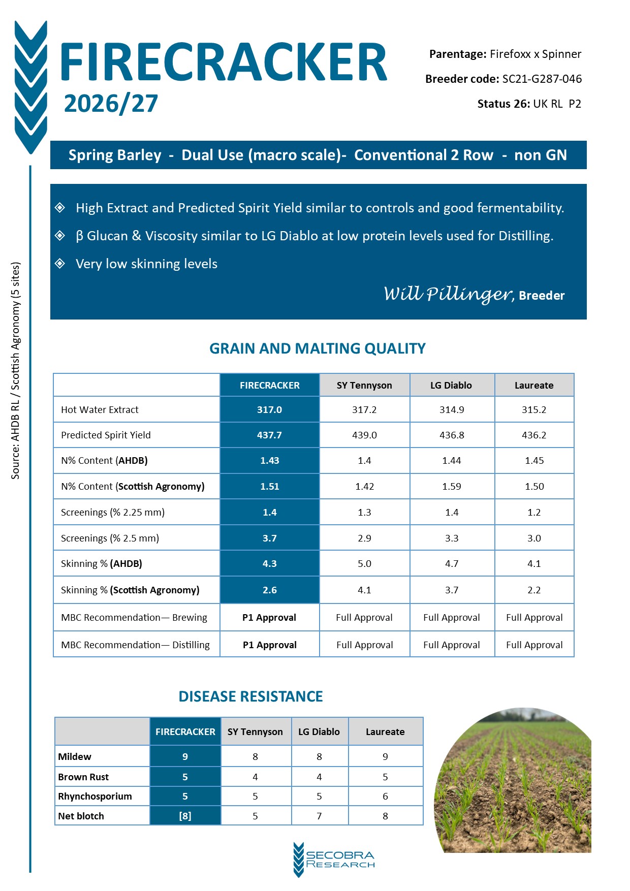 Spring Barley - P1 - Conventional 2 Row - non GN