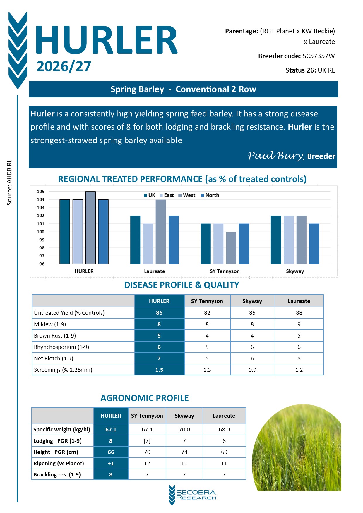 Spring Feed Barley | Conventional 2 Row