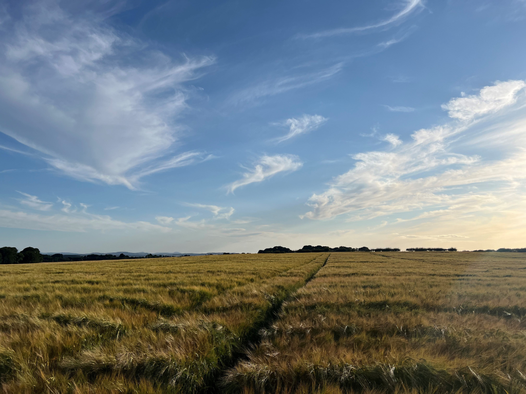 Farmer Natasha Findlay
