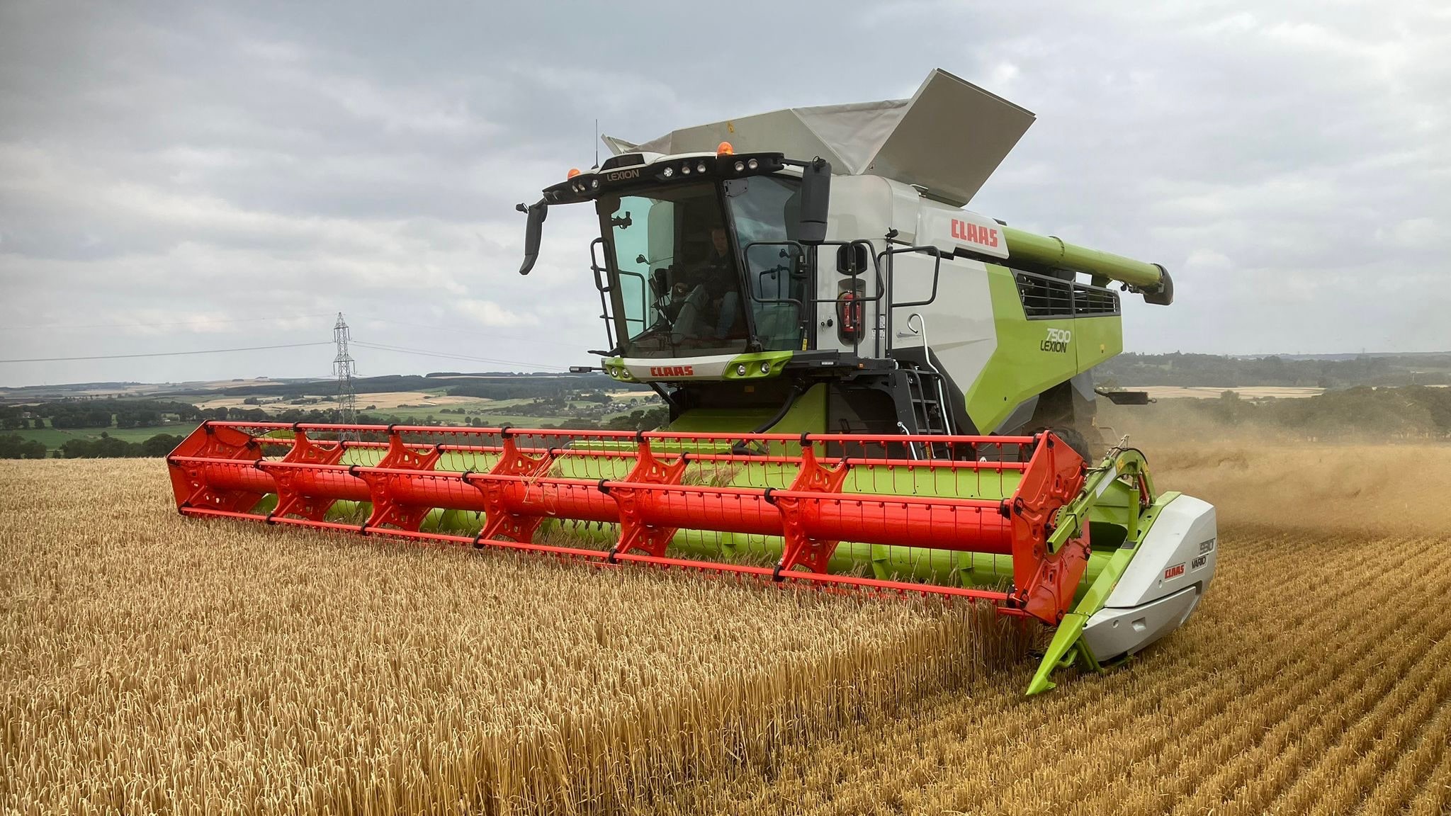 Diviner Spring Barley offers Scottish growers high yields and almighty quality