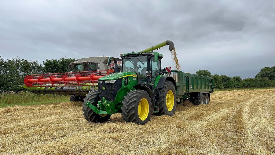 Toby Hogsbjerg Belter